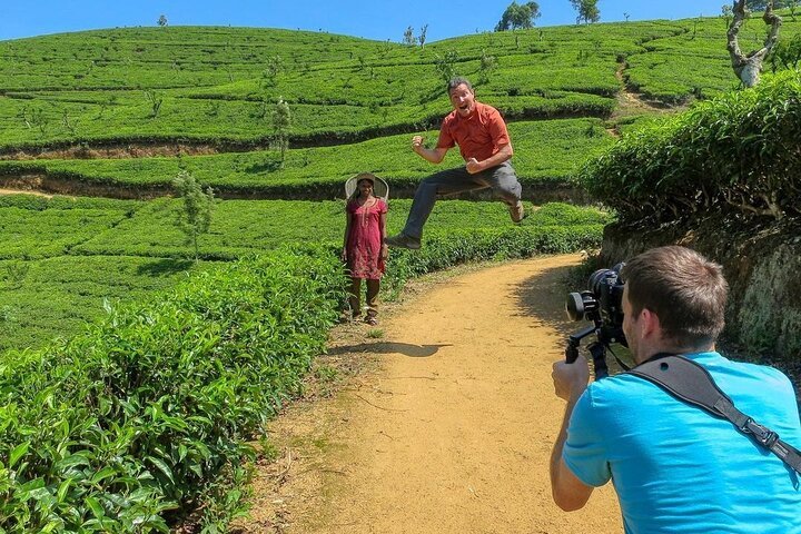 Tea Tour Image