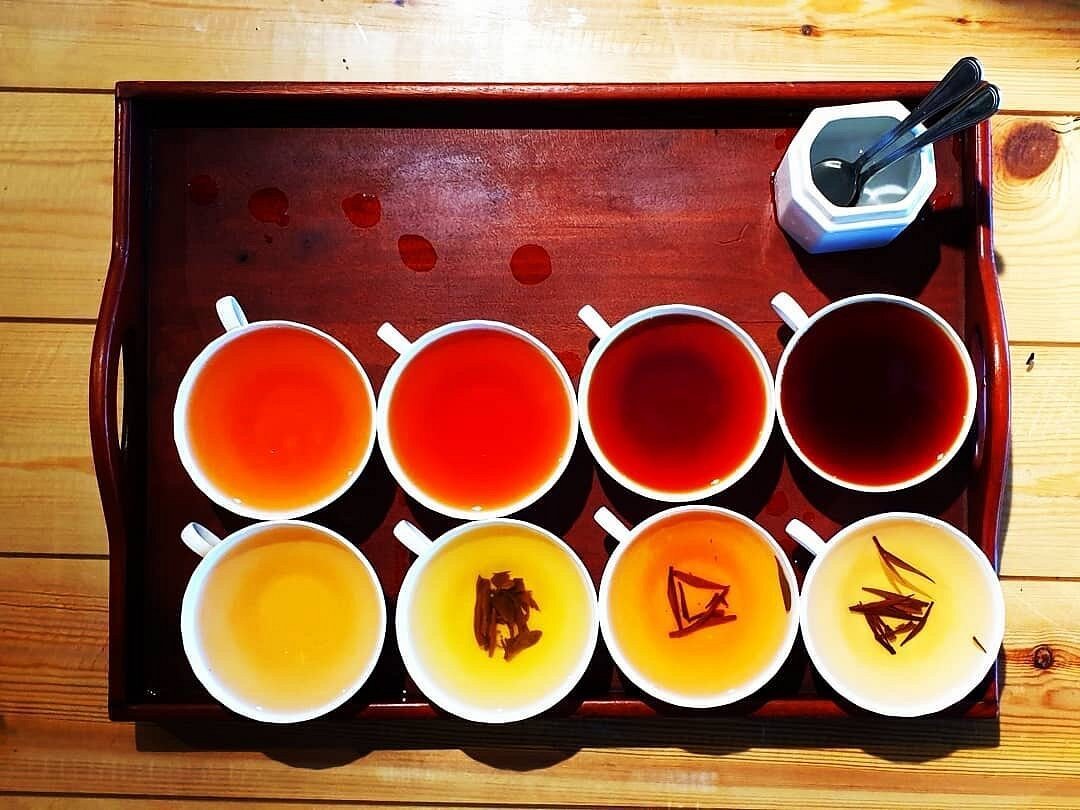 Tea Tour Image