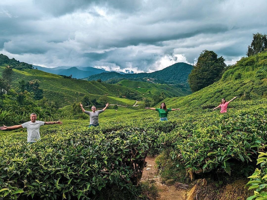 Tea Tour Image